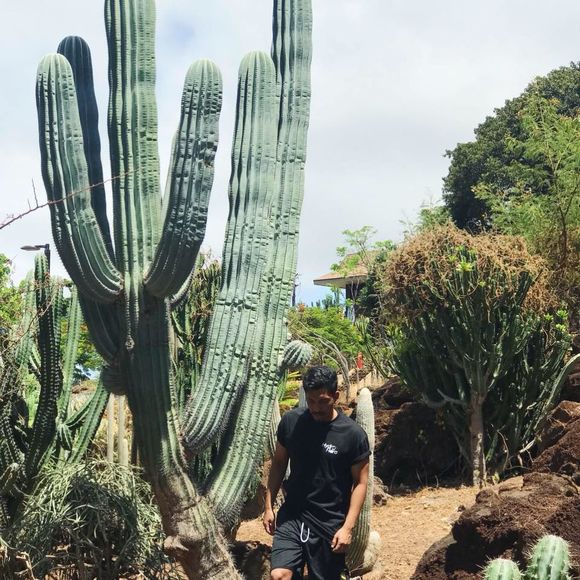 Meet your Posher, Kevin - Picture 1 of 1